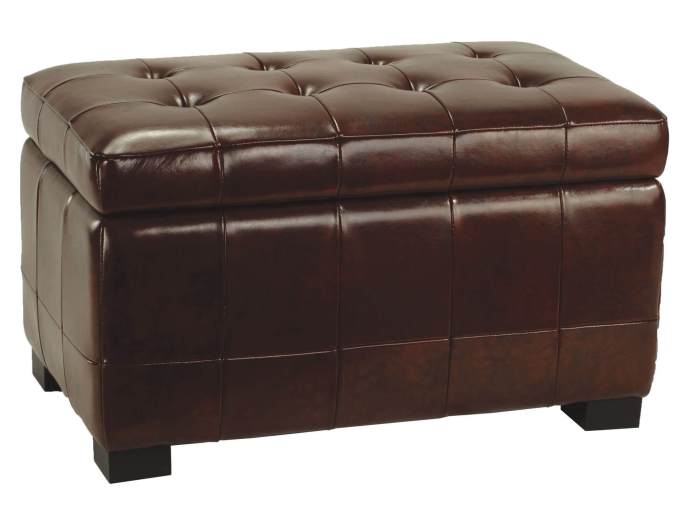 Leather ottoman furniture with storage top